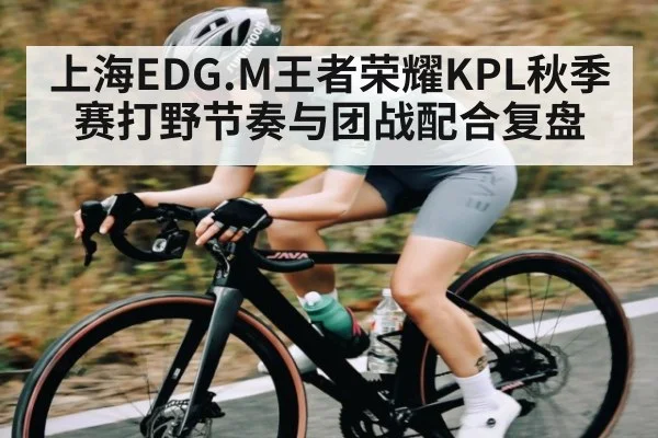 上海EDG.M王者荣耀KPL秋季赛打野节奏与团战配合复盘